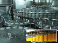 Full Automatic Hot Filling juice production machine 500ml Bottle