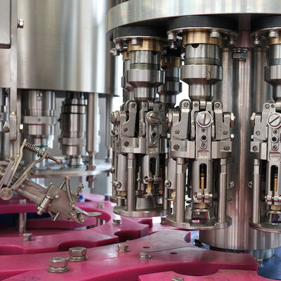 3-in-1 Automatic Glass Bottle Filling Machine for Beer Carbonated Drinks